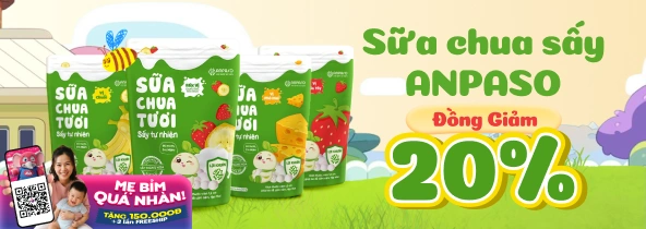 SỮA CHUA SẤY ANPASO ĐỒNG GIẢM 20% t4